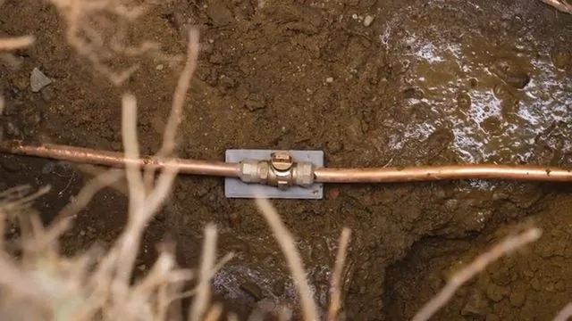 Exposed buried copper service line with a repair clamp and tree roots beside it