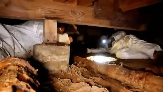 Worker with a headlamp beside rotted framing in a crawlspace